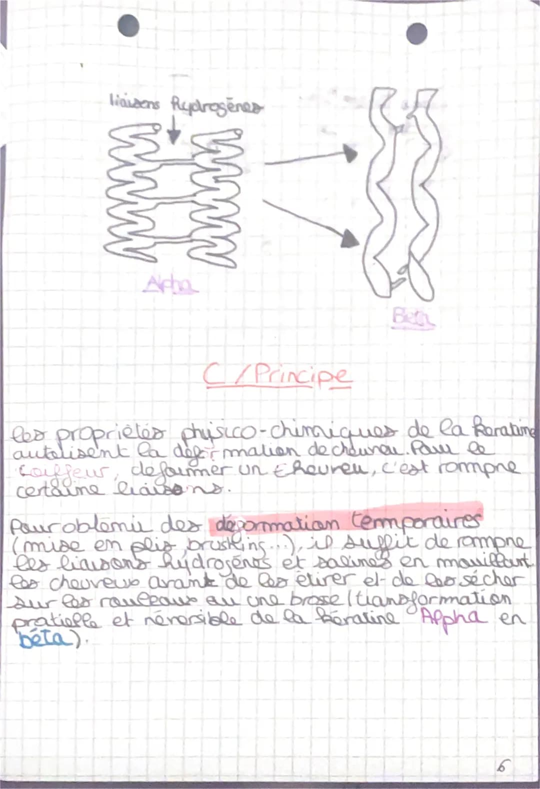 modification Cemporaire
du cheneu
plusieurs de ces liaisons destabilise at
-ent
L'aisons &
Sporte
pont diould we
12°º° La keratine étiree
(b