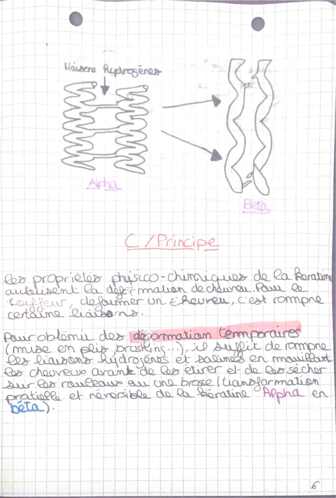 modification Cemporaire
du cheneu
plusieurs de ces liaisons destabilise at
-ent
L'aisons &
Sporte
pont diould we
12°º° La keratine étiree
(b