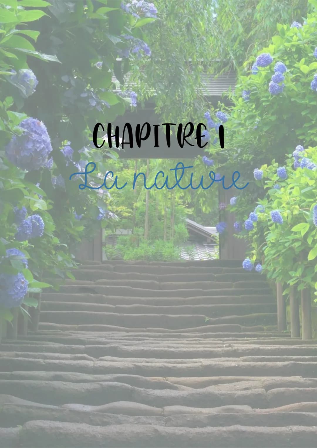 CHAPITRE I
La nature NATURE: Nous pouvons parler de la nature d'une personne, d'un élément naturel ou non...
= Il s'agit d'un mot polysémiqu