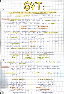 Know La régulation des flux de glucose au sein de l’organisme thumbnail