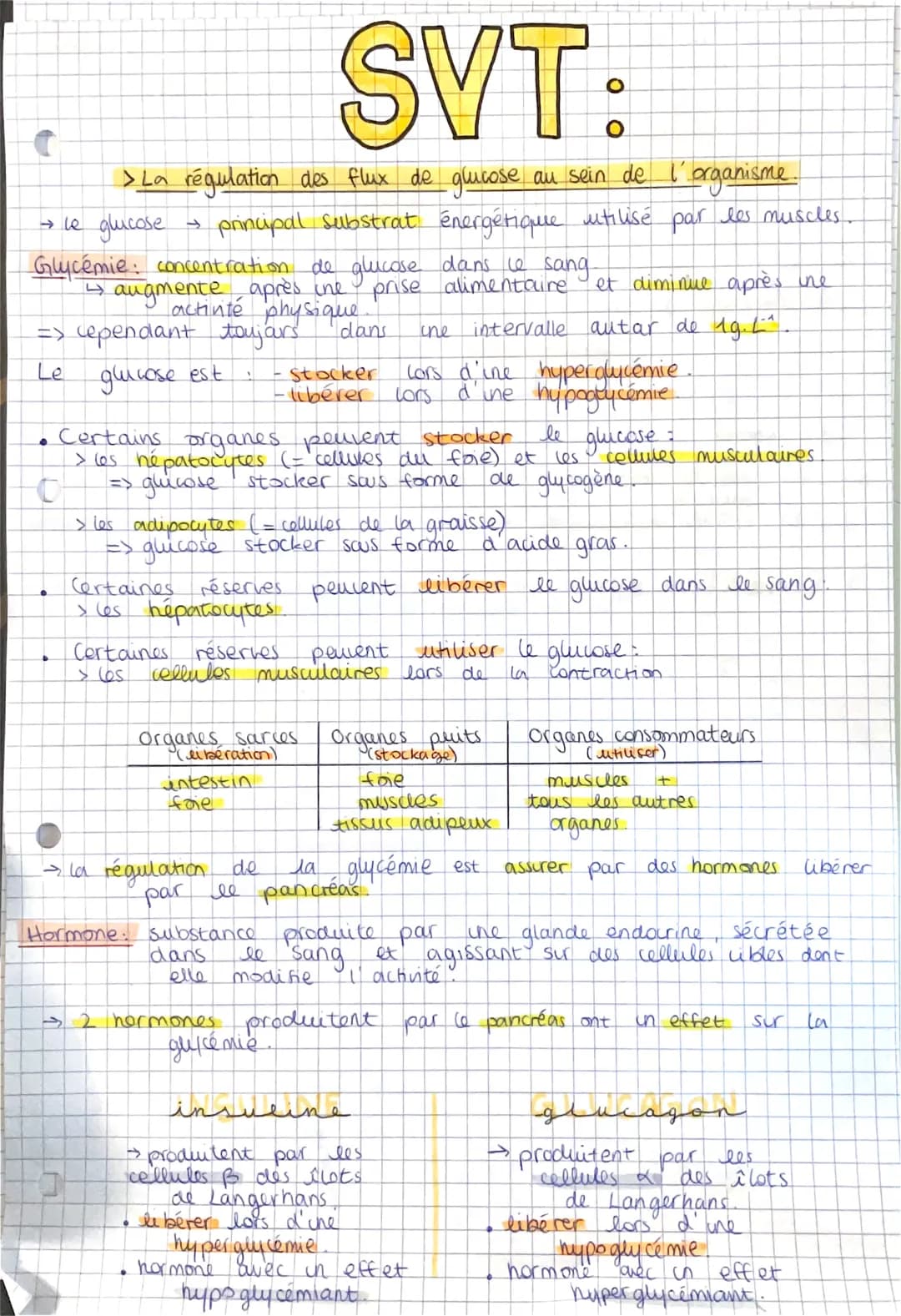 SVT:
> La régulation des flux de glucose au sein de l'organisme...
→ le glucose
→ principal substrat énergétique utilisé par les muscles.
Gl