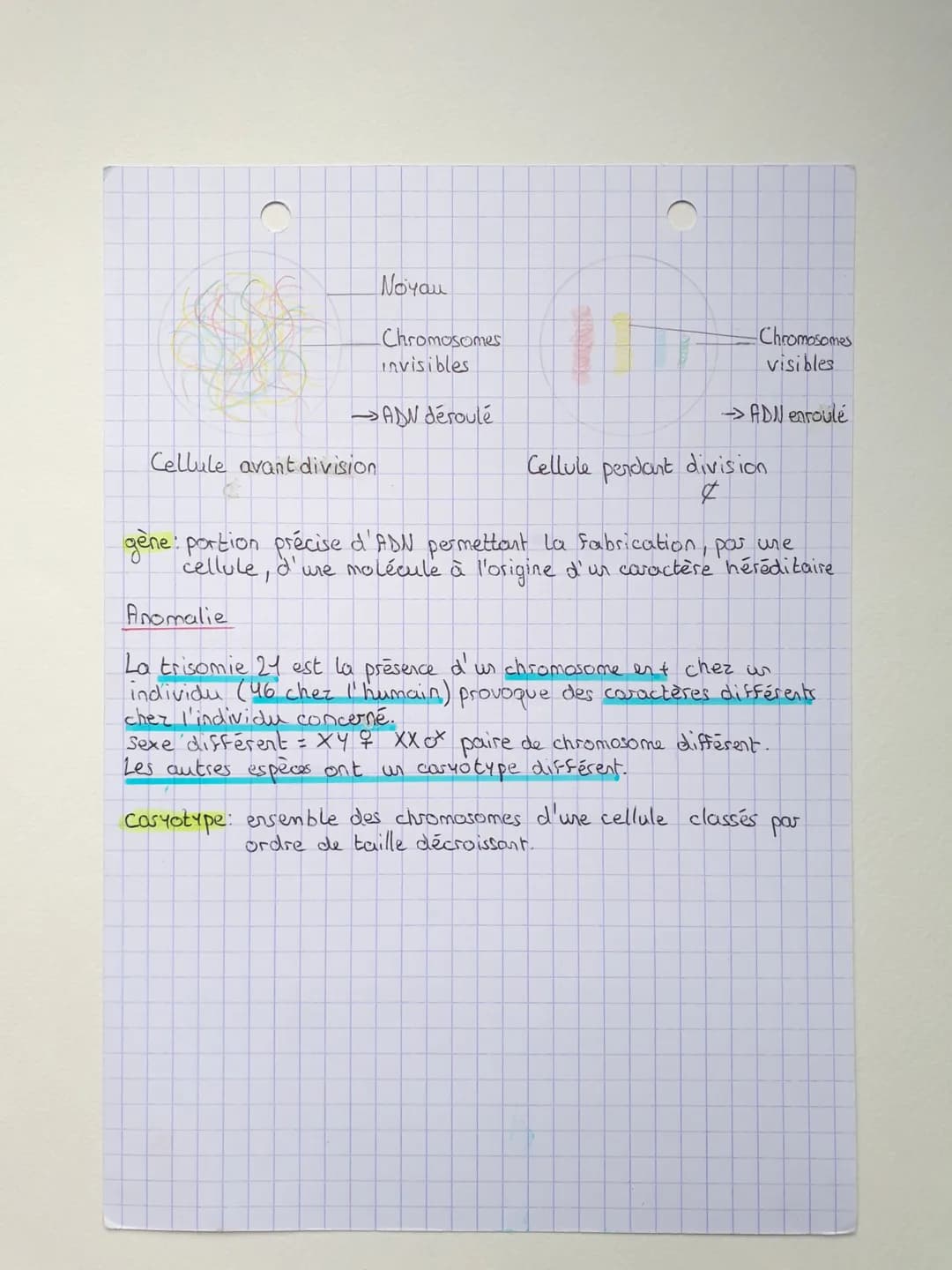 CLE PHENOTYPE: SA DIVERSITE,
SON ORIGINE
Caractère héréditaire
Les caracteres héréditaires sont déterminés par la reproduction
sexuée de Ger