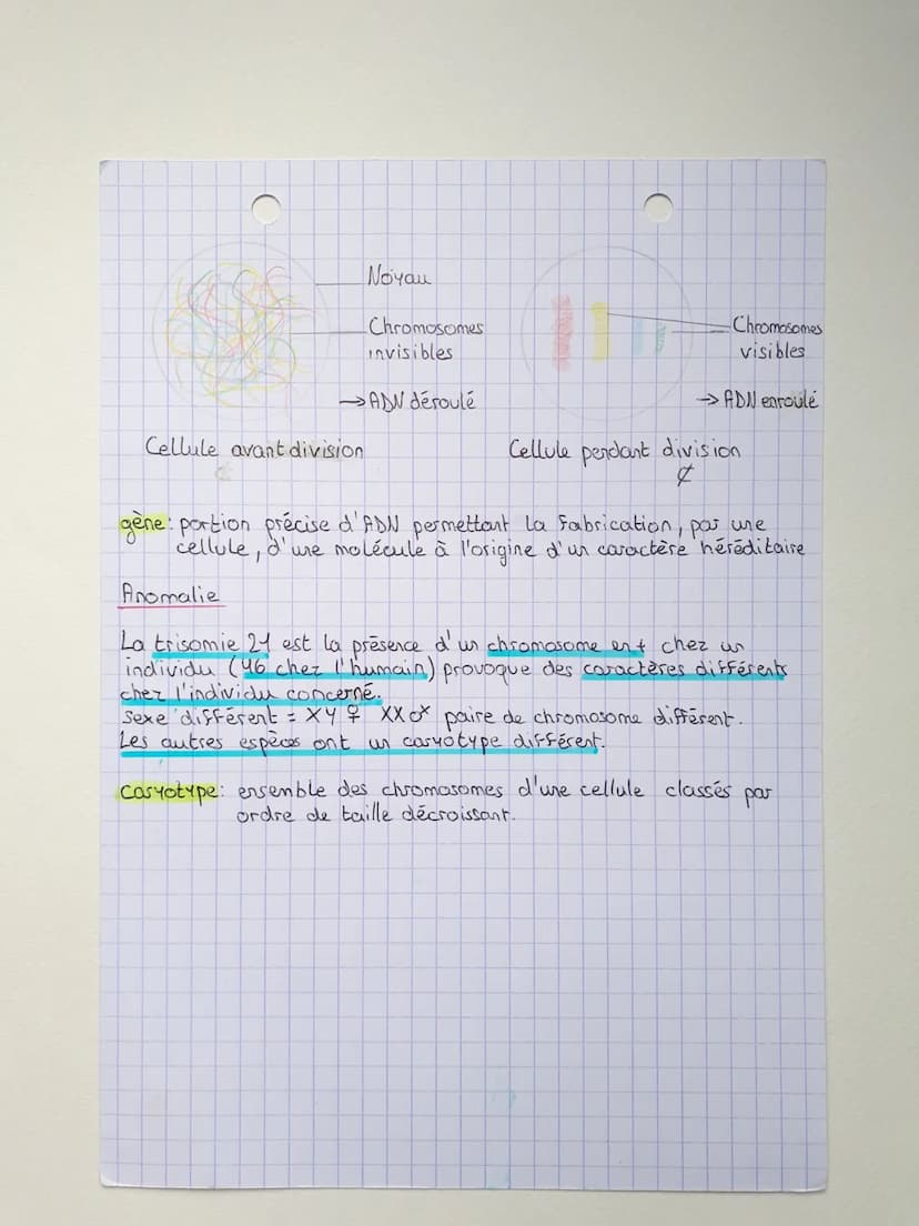 CLE PHENOTYPE: SA DIVERSITE,
SON ORIGINE
Caractère héréditaire
Les caracteres héréditaires sont déterminés par la reproduction
sexuée de Ger