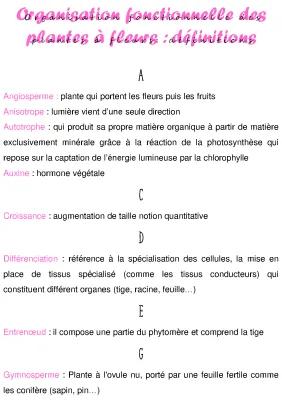 Know organisation fonctionnelle des plantes à fleurs : vocabulaire  thumbnail