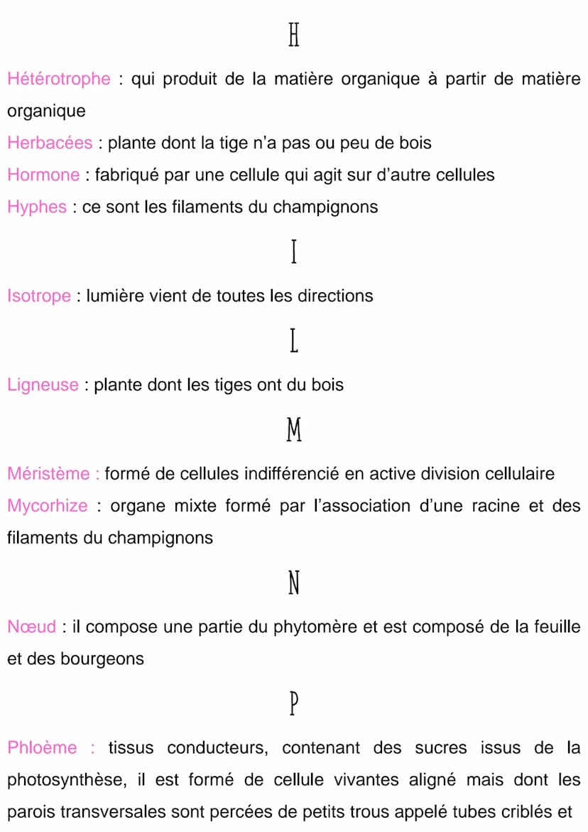 
<h2 id="angiosperme">Angiosperme</h2>
<p>Une angiosperme est une plante qui porte des fleurs puis des fruits.</p>
<h2 id="anisotrope">Aniso