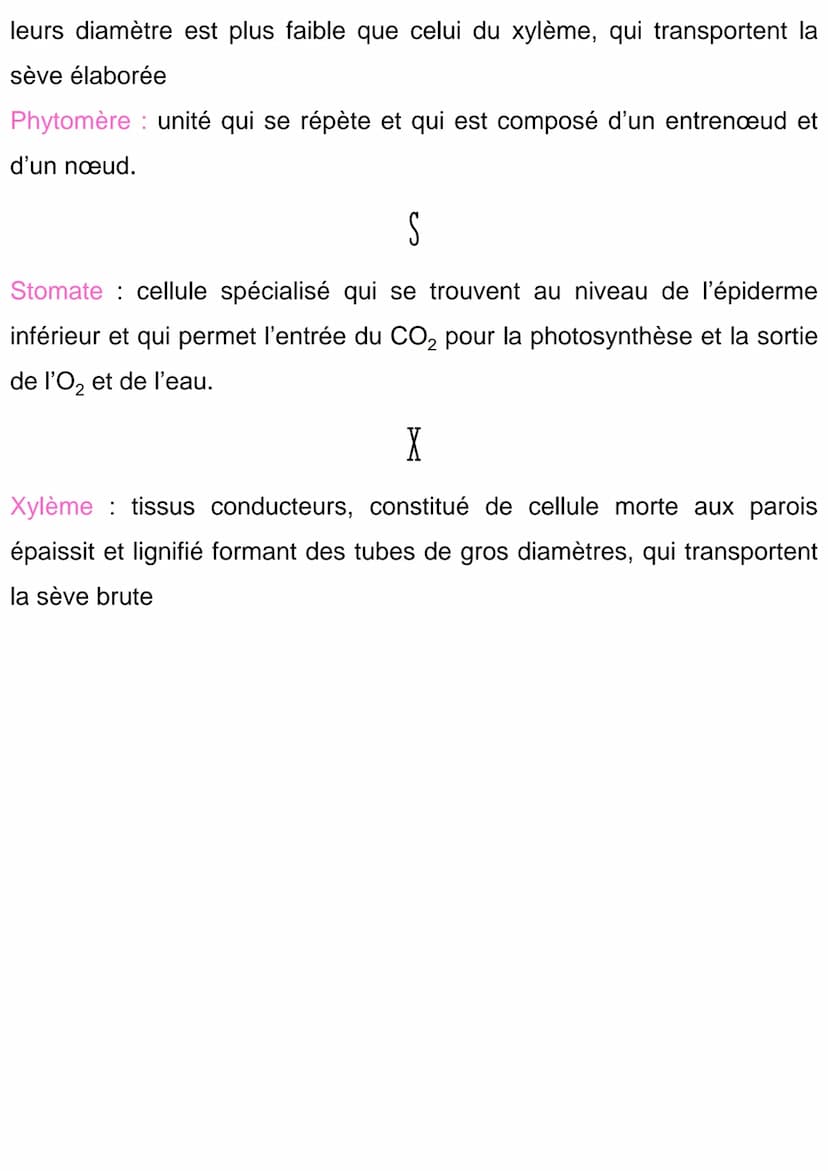 
<h2 id="angiosperme">Angiosperme</h2>
<p>Une angiosperme est une plante qui porte des fleurs puis des fruits.</p>
<h2 id="anisotrope">Aniso