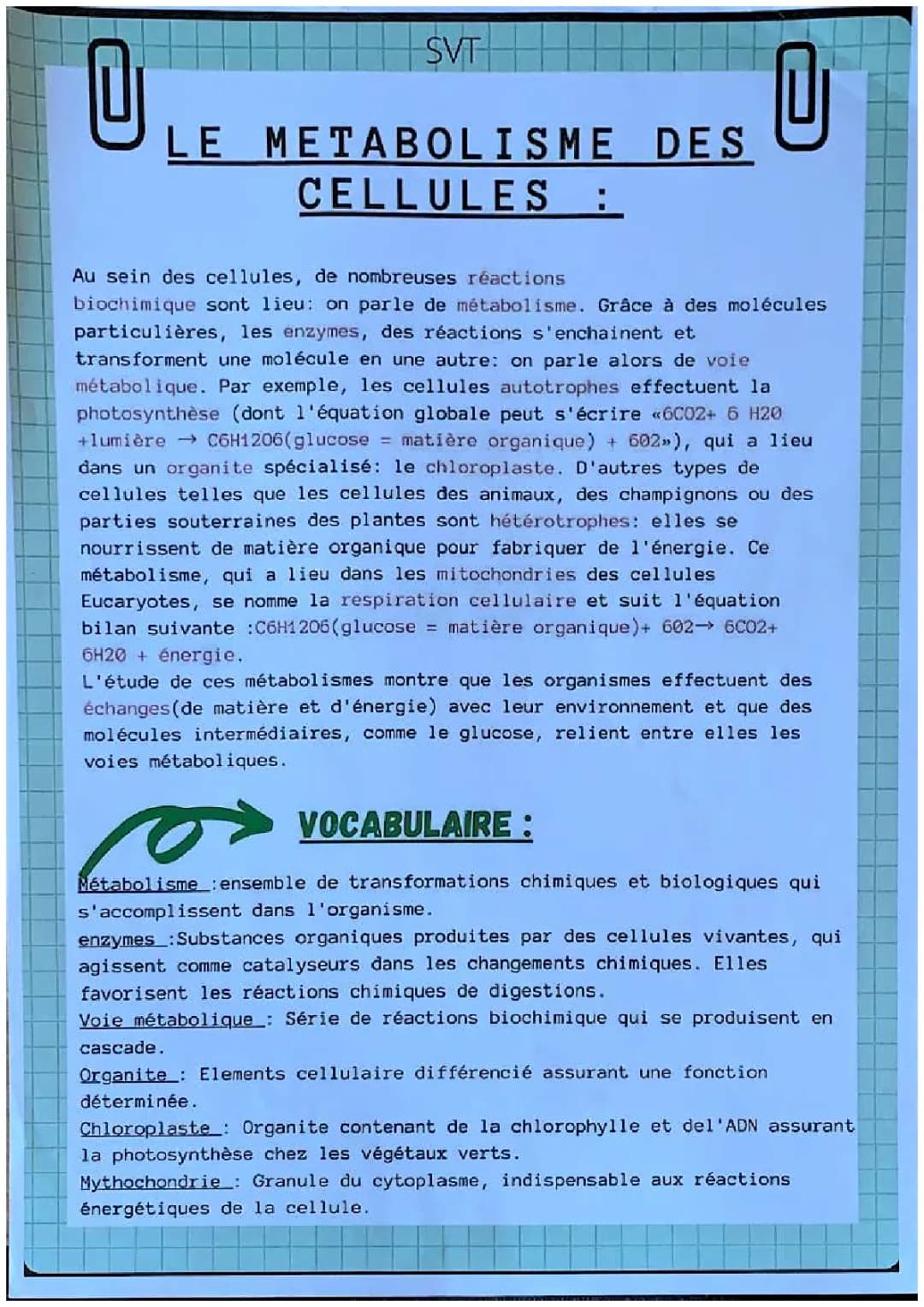 Le métabolisme des cellules 