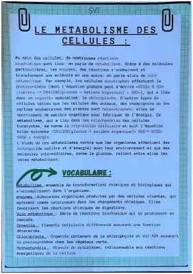 Know Le métabolisme des cellules  thumbnail