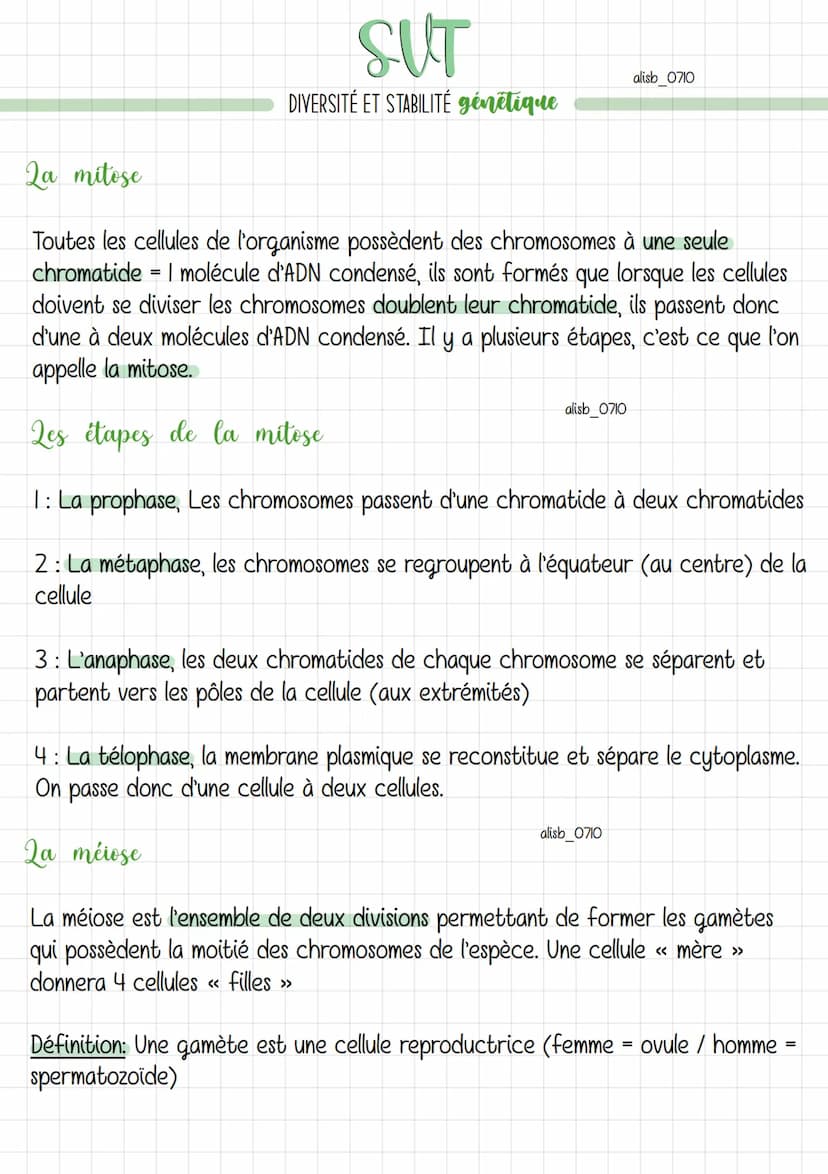 SUT
DIVERSITÉ ET STABILITÉ génétique
alisb_0710
Les caractères
Chaque individu d'une espèce présente des caractères qui lui sont propres. Il