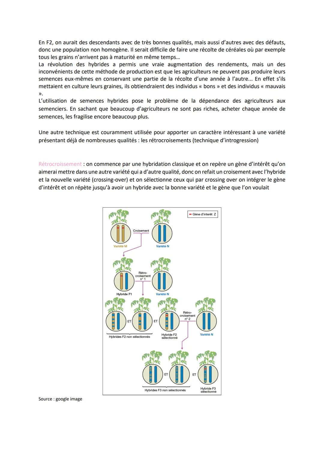 Chapitre 4
I.
LA DOMESTICATION DES
PLANTES
La domestication des plantes
Quelles sont les origines de plantes cultivées ?
Le maïs a été domes
