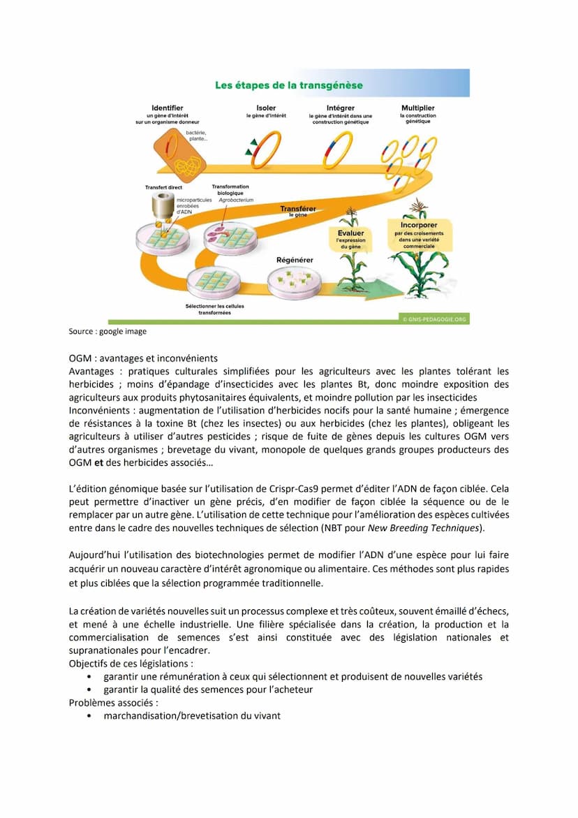 Chapitre 4
I.
LA DOMESTICATION DES
PLANTES
La domestication des plantes
Quelles sont les origines de plantes cultivées ?
Le maïs a été domes