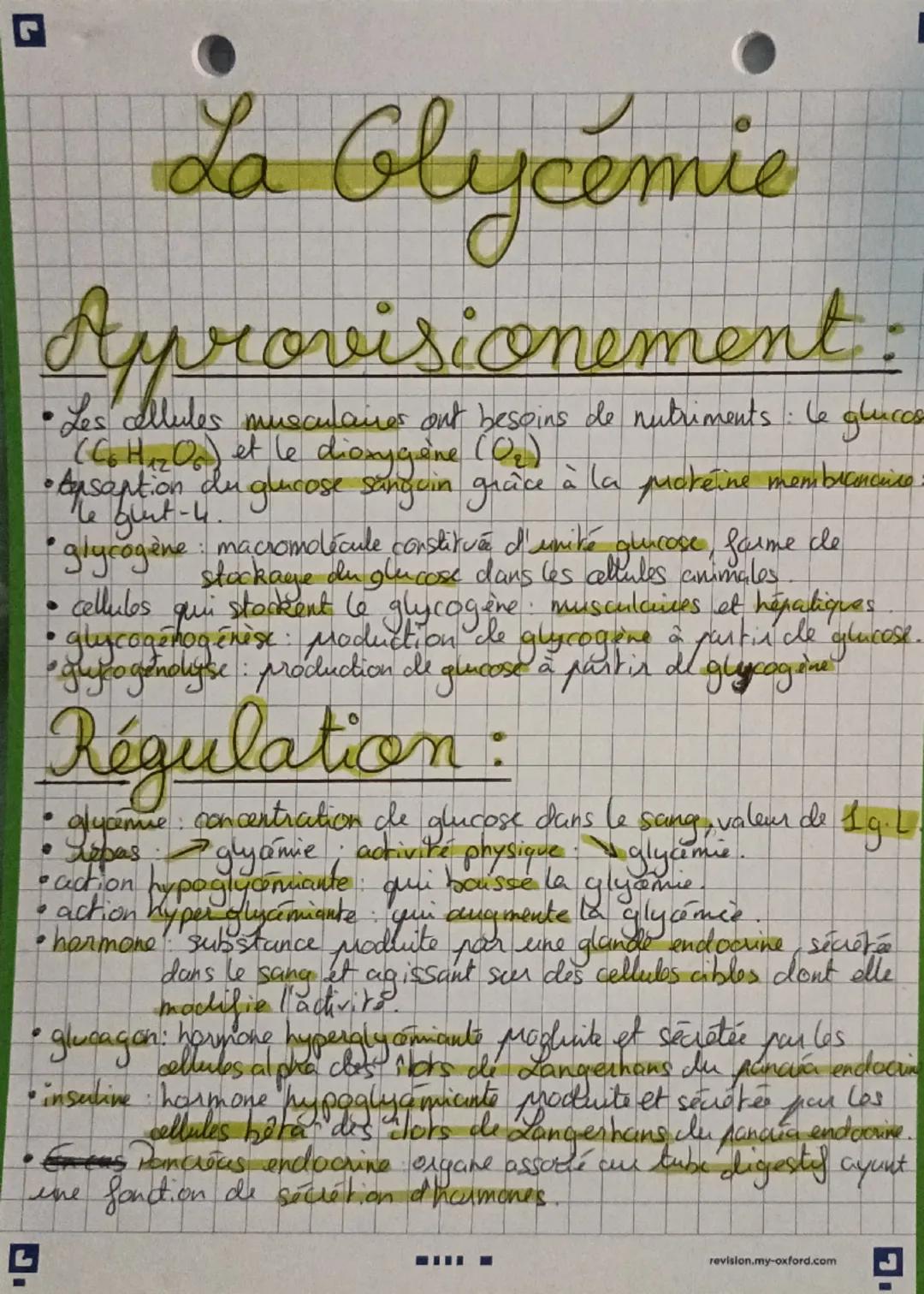 # La Glycémie

Approvisionement

• Les cellules musculaires aut besoins de nutriments: le glucose
($C_6H_{12}O_6$) et le dioxygène ($O_2$).
