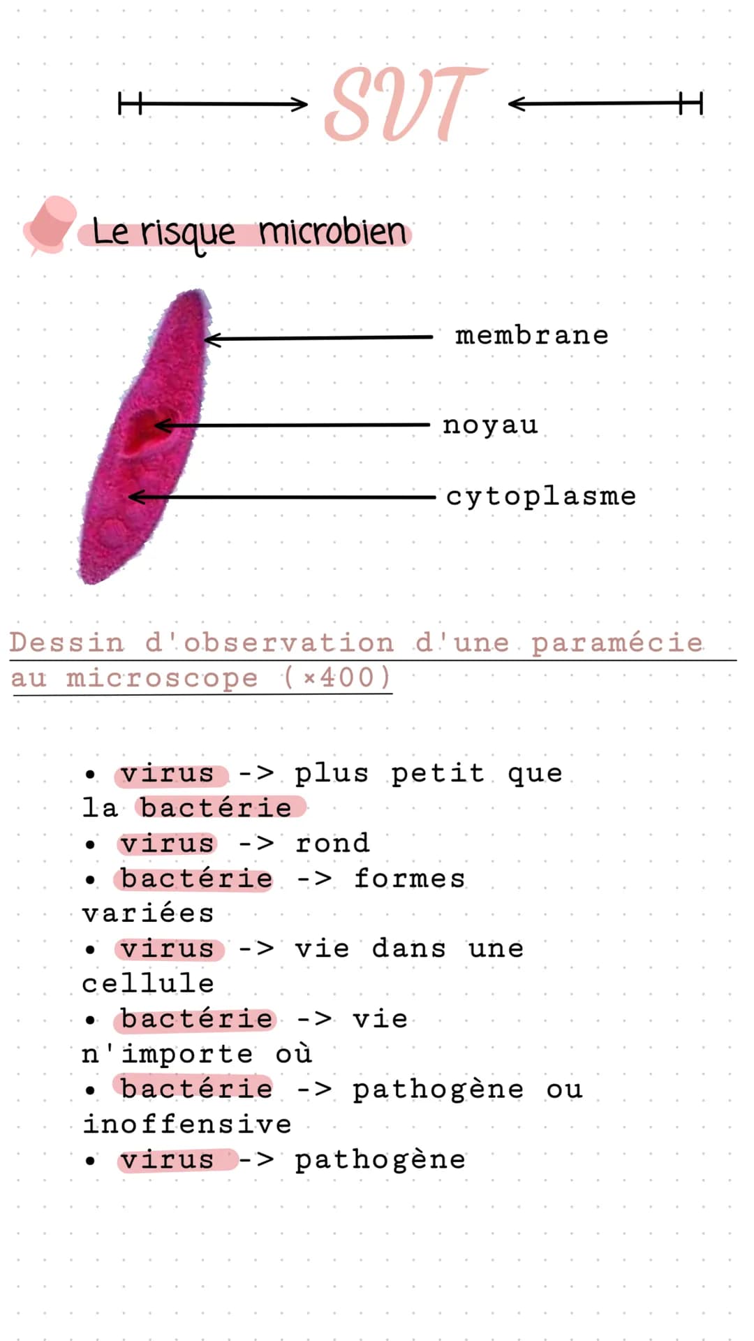 Le risque microbien
H
SVT
●
●
membrane
Dessin d'observation d'une paramécie
au microscope (×400)
virus -> plus petit que
la bactérie
noyau
v