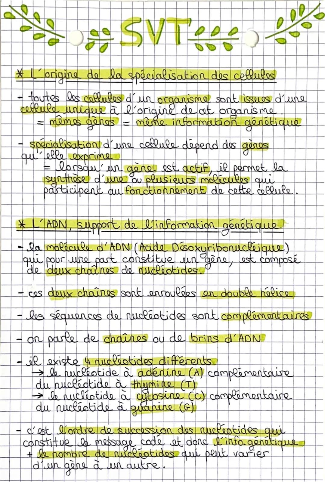 Comprendre l'ADN et les Cellules Spécialisées - Révision 3ème et Seconde