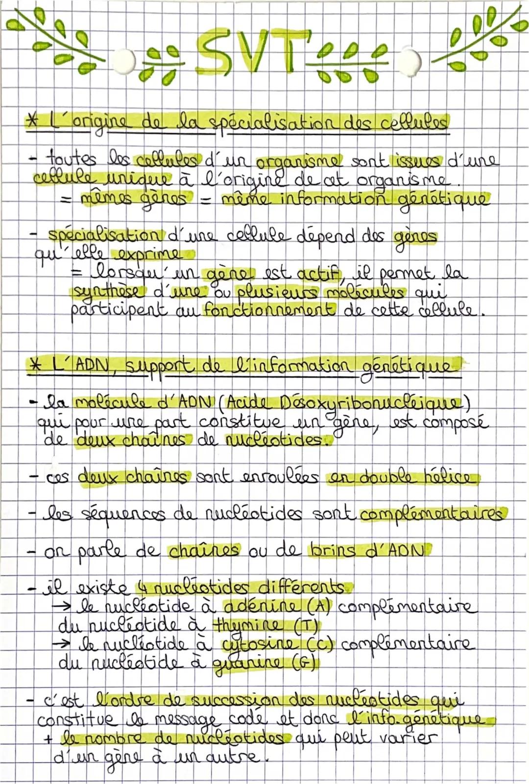 Fiche de révision sur la génétique et cellules spécialisées 3ème - PDF