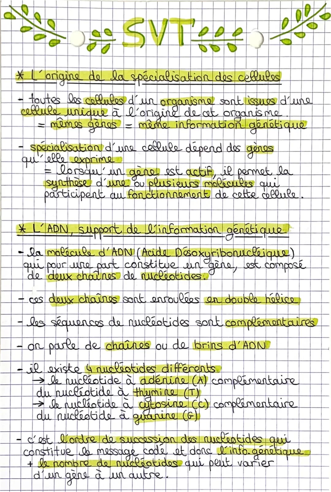 og SV Tege
* L´origine de la spécialisation des cellules
- toutes les cellules d'un organisme sont issues d'une
cellule unique à l'origine d