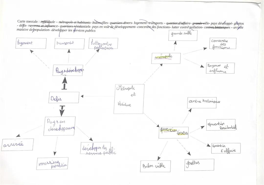 Carte mentale Métropole 6ème - Les métropoles et leurs habitants