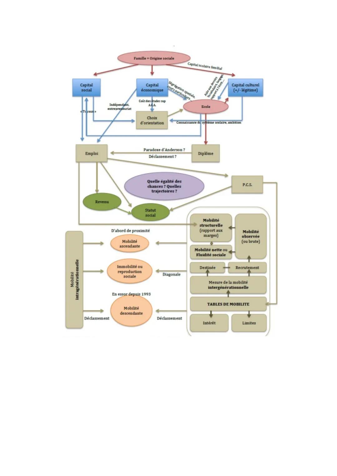 SES 4
LA MOBILITÉ SOCIALE

Pourquoi observer la mobilité sociale?
"J'écris peut-être parce qu'on n'avait plus rien à se dire"
Annie Ernaux c