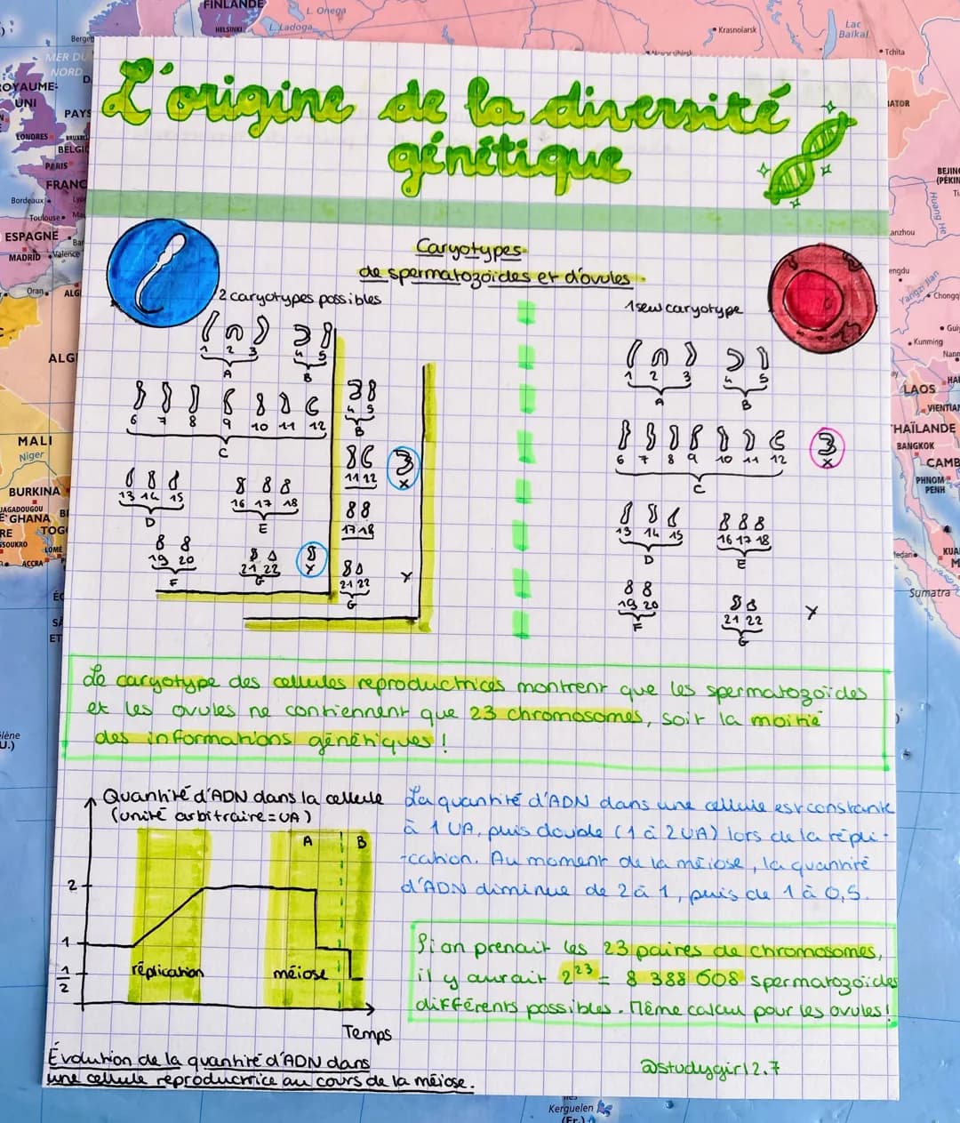 GE
RK
cellule d'un
Lulea
SUÈDE testicule au
cours de la
division
= cellule mère
Malmö
daigne
sset
STOCKHO
SE SLOVE
ALIE CRO
ONACO MON
ROME
T