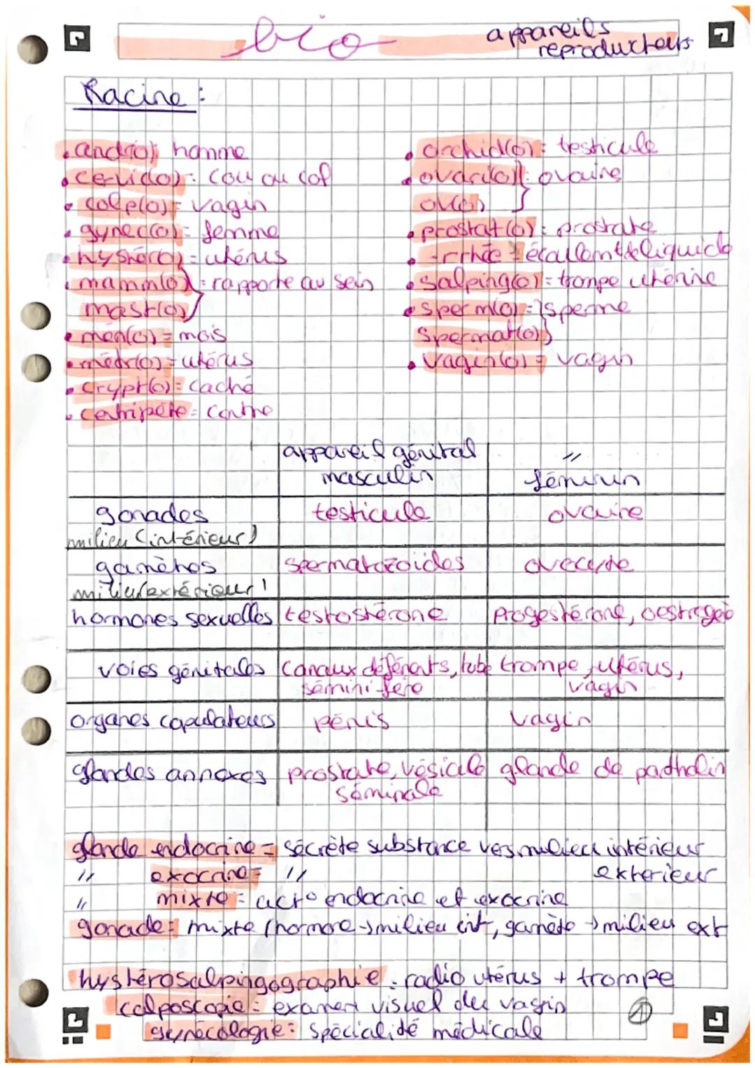 Racine:
bio
•andiol hamme
•Cervido): Cou ou cof
• Colelo) vagin
•gynecco): femme
hyshore): wheres.
mammo rapporte au sein.
mastio
• men(c) =