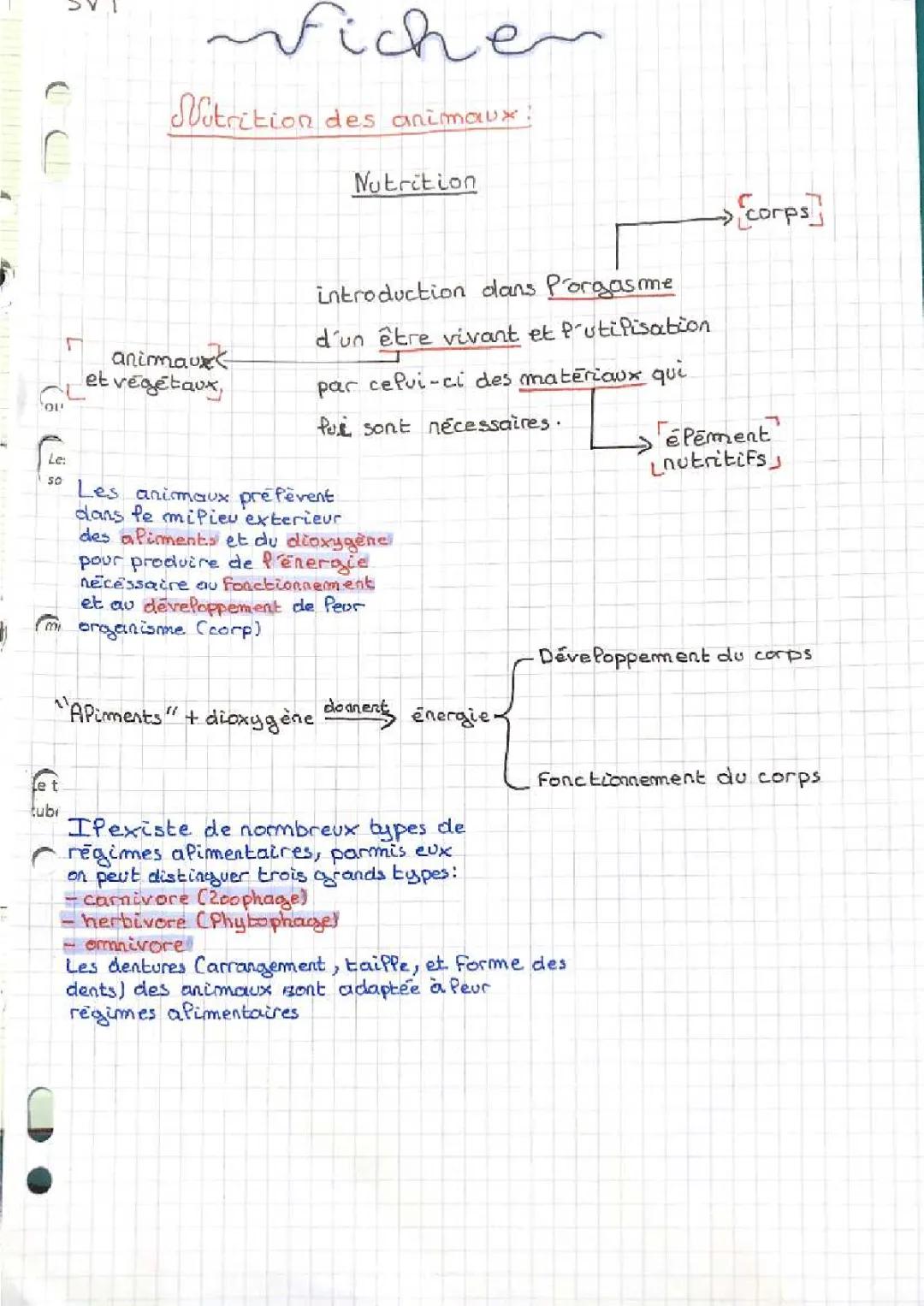 nutrition des animaux 
