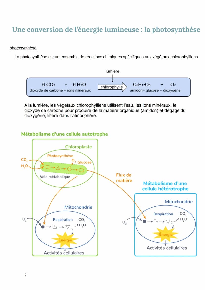 -Enseignement Scientifique -
SVT/ Le bilan radiatif terrestre
Albédo: quantité du rayonnement solaire réfléchi par rapport à celle reçue par