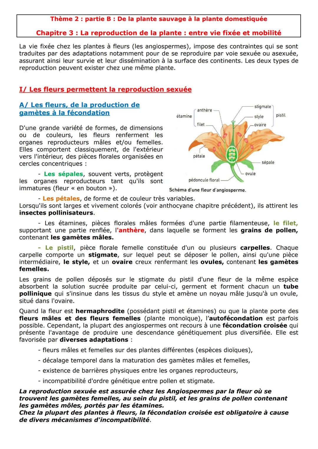 Thème 2: partie B: De la plante sauvage à la plante domestiquée
Chapitre 3: La reproduction de la plante: entre vie fixée et mobilité
La vie