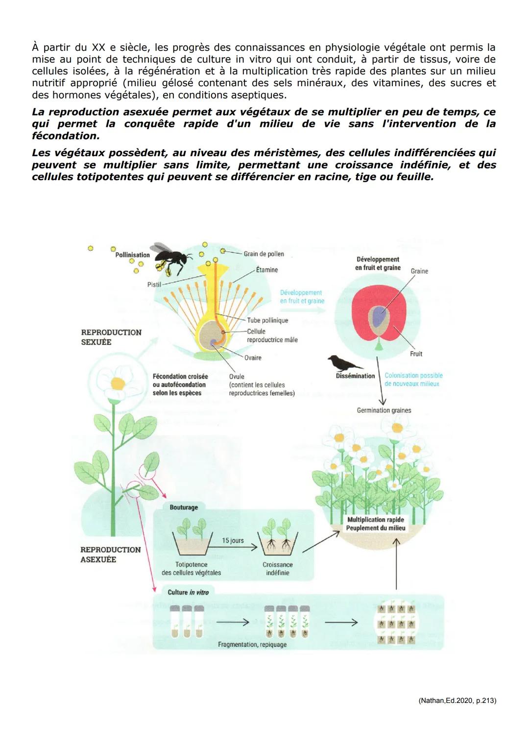 Thème 2: partie B: De la plante sauvage à la plante domestiquée
Chapitre 3: La reproduction de la plante: entre vie fixée et mobilité
La vie