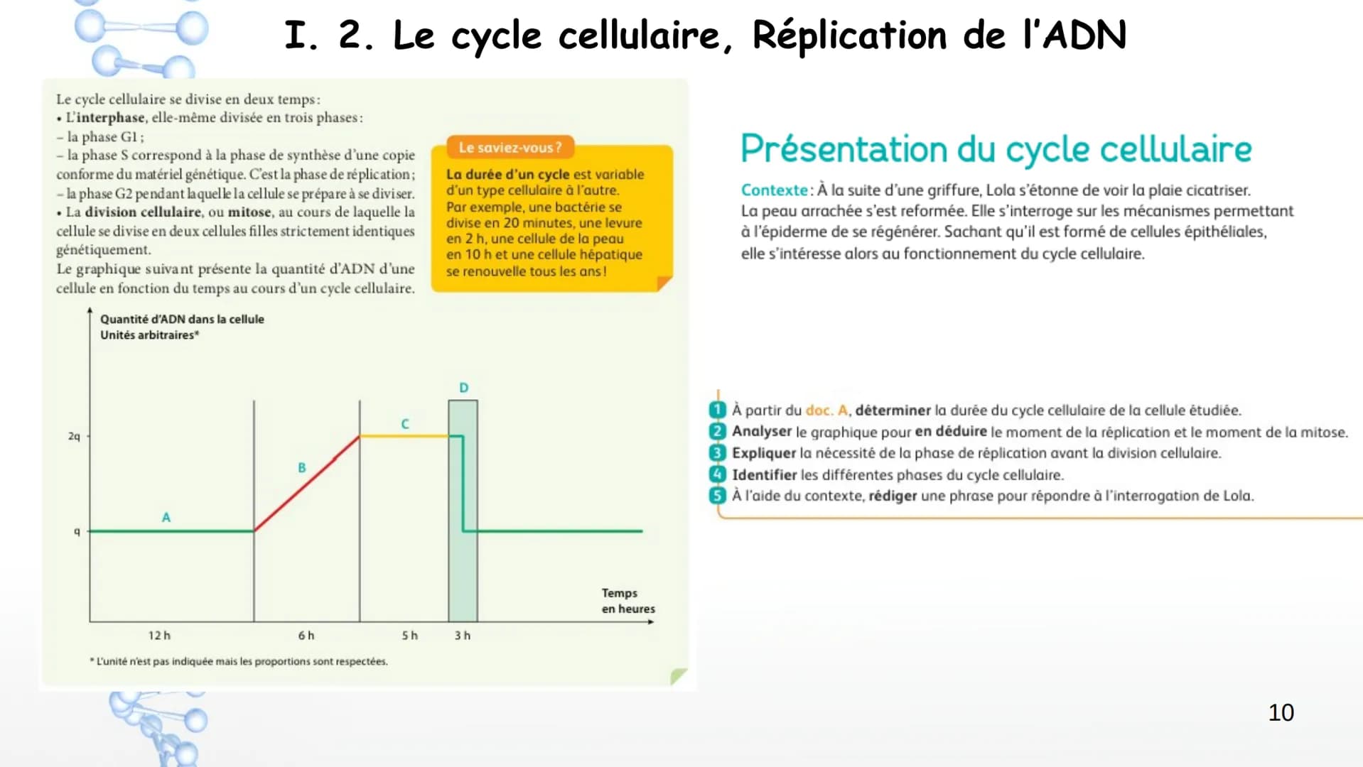 19
14
20
P
PO
10
PO
5%
16
21
Sucre
Sucre Paires de
Phosphate bases Phosphate
3'
11
OH
17
22
12
18
Y
Phosphate
1' Désoxyribose
Cytosine
Guani