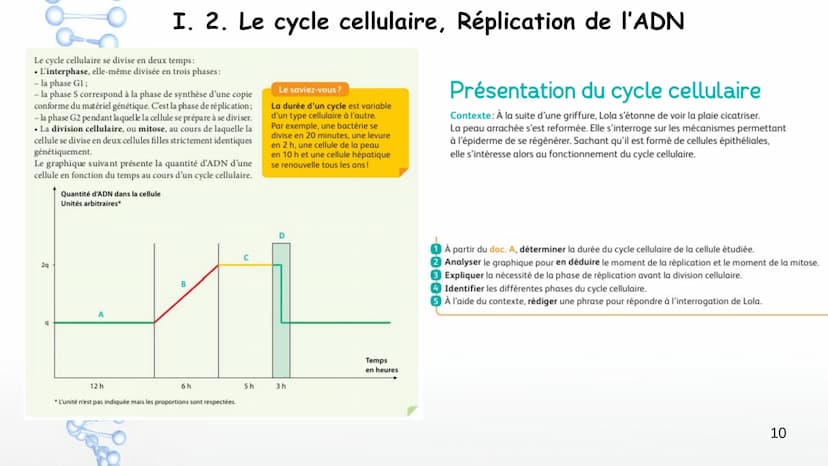 19
14
20
P
PO
10
PO
5%
16
21
Sucre
Sucre Paires de
Phosphate bases Phosphate
3'
11
OH
17
22
12
18
Y
Phosphate
1' Désoxyribose
Cytosine
Guani