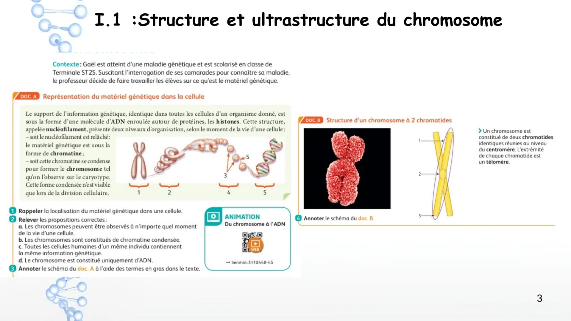 19
14
20
P
PO
10
PO
5%
16
21
Sucre
Sucre Paires de
Phosphate bases Phosphate
3'
11
OH
17
22
12
18
Y
Phosphate
1' Désoxyribose
Cytosine
Guani