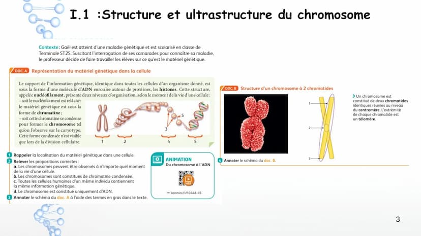 19
14
20
P
PO
10
PO
5%
16
21
Sucre
Sucre Paires de
Phosphate bases Phosphate
3'
11
OH
17
22
12
18
Y
Phosphate
1' Désoxyribose
Cytosine
Guani