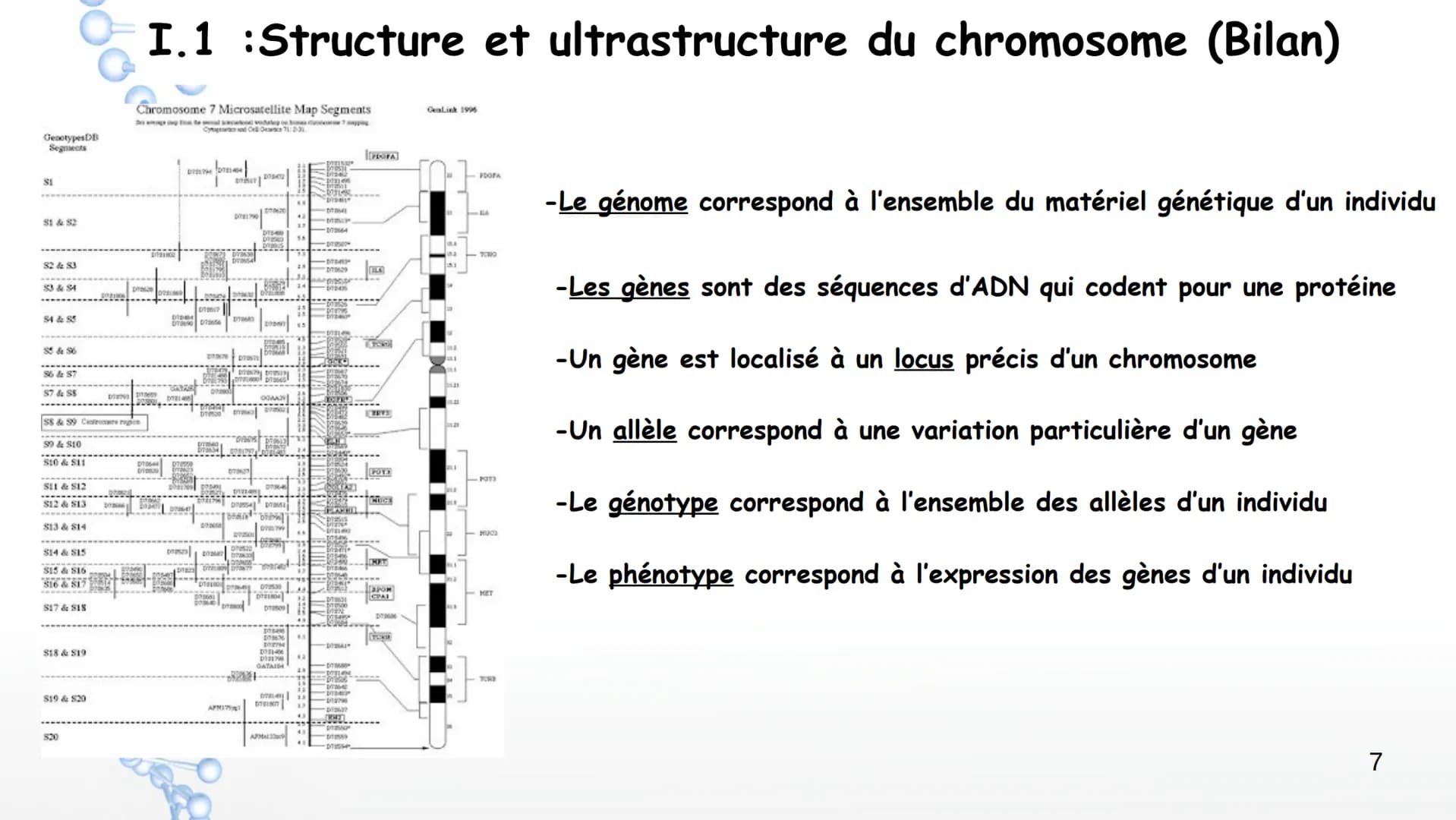 19
14
20
P
PO
10
PO
5%
16
21
Sucre
Sucre Paires de
Phosphate bases Phosphate
3'
11
OH
17
22
12
18
Y
Phosphate
1' Désoxyribose
Cytosine
Guani