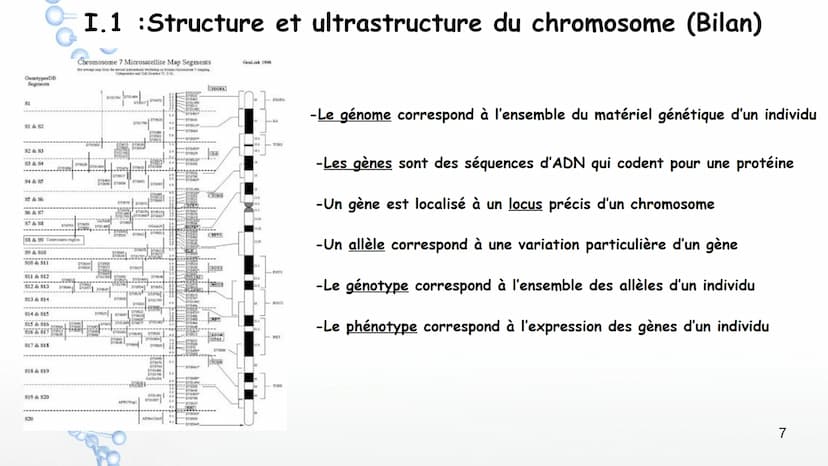 19
14
20
P
PO
10
PO
5%
16
21
Sucre
Sucre Paires de
Phosphate bases Phosphate
3'
11
OH
17
22
12
18
Y
Phosphate
1' Désoxyribose
Cytosine
Guani