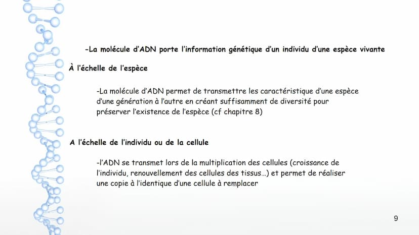 19
14
20
P
PO
10
PO
5%
16
21
Sucre
Sucre Paires de
Phosphate bases Phosphate
3'
11
OH
17
22
12
18
Y
Phosphate
1' Désoxyribose
Cytosine
Guani