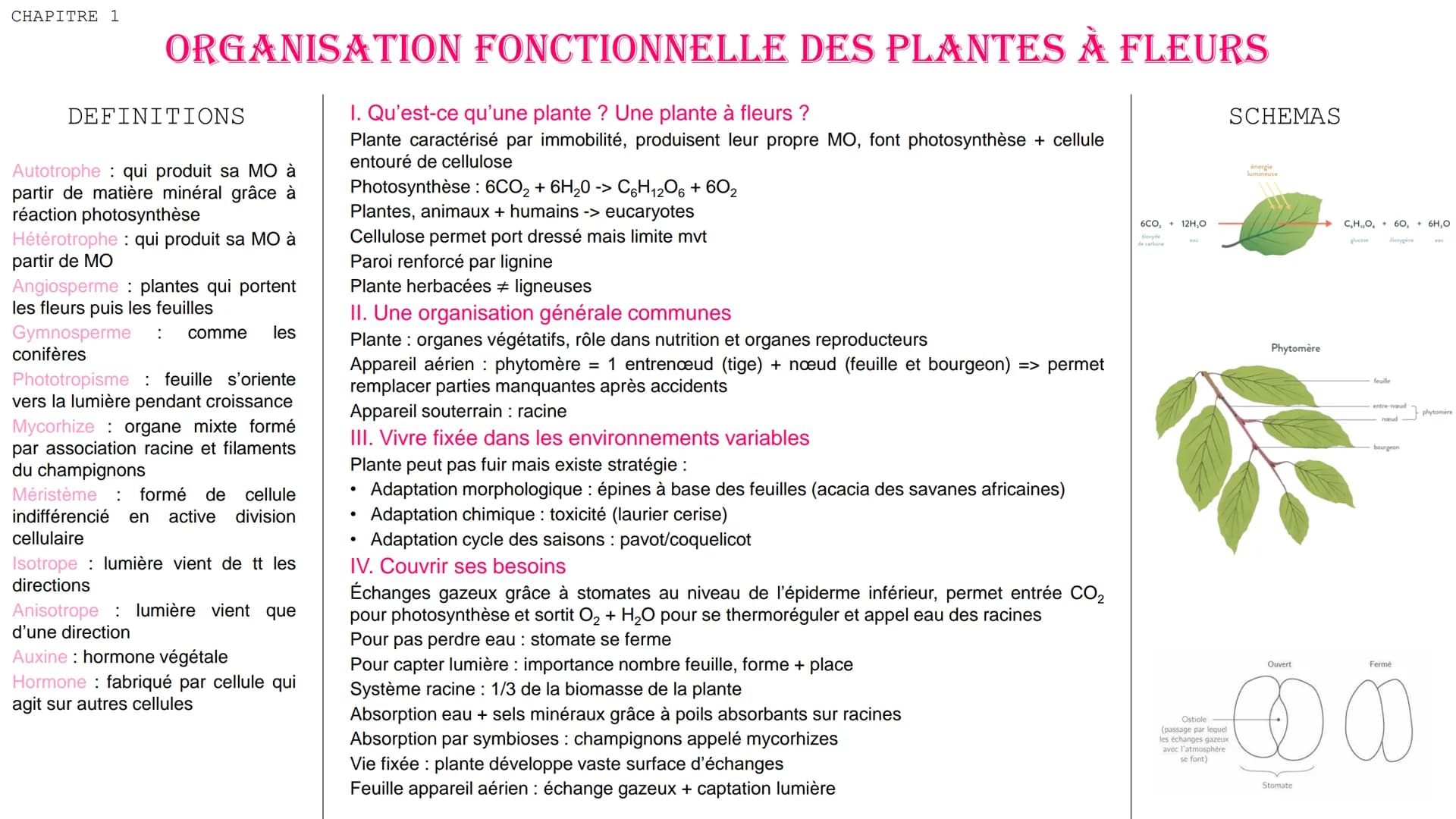 CHAPITRE 1
ORGANISATION FONCTIONNELLE DES PLANTES À FLEURS
DEFINITIONS
Autotrophe qui produit sa MO à
partir de matière minéral grâce à
réac