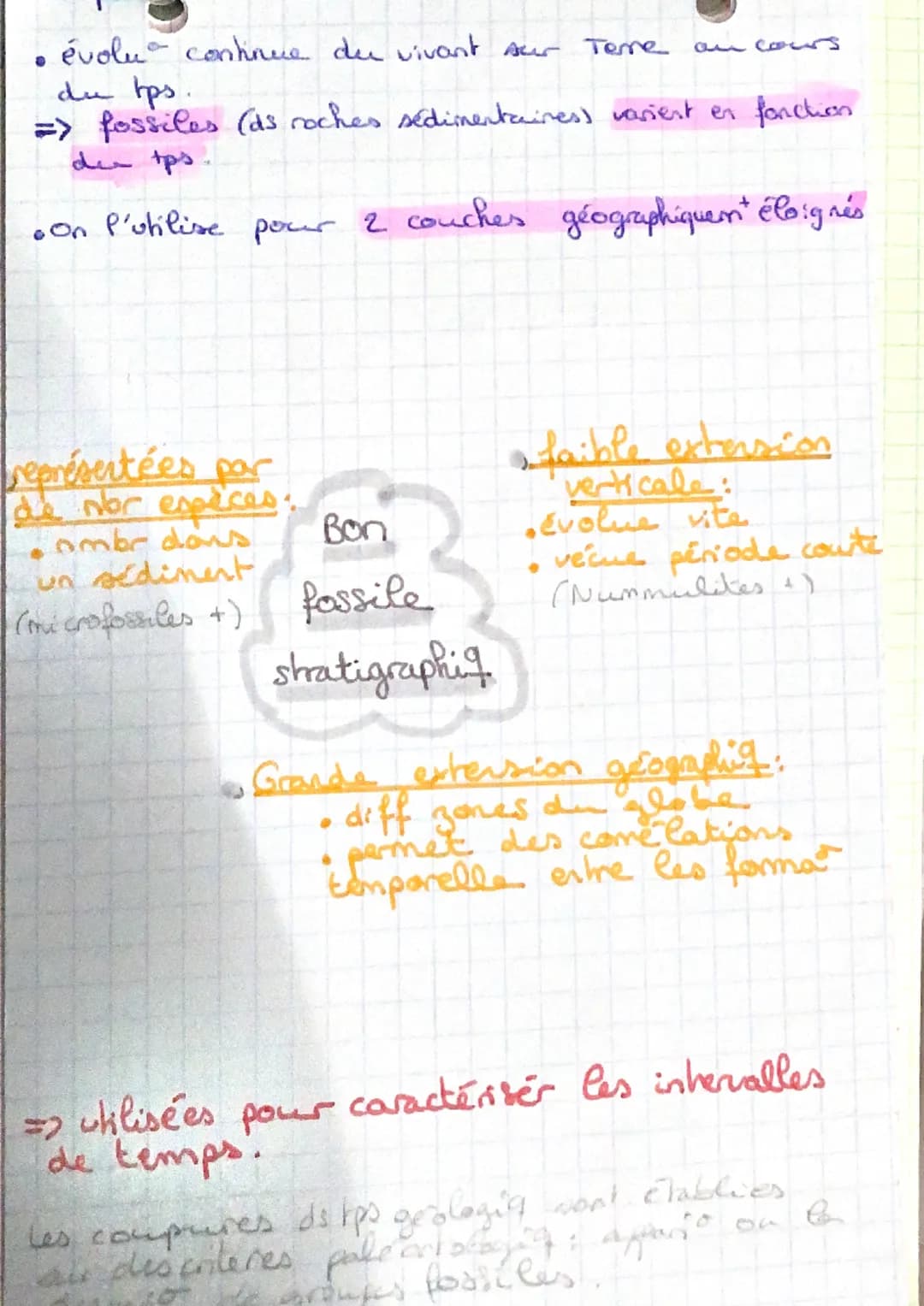 Principe de SUPERPOSITION
sediment se déposent horizontal
30 de déformation => strate + récente
ex coulée Cave.
+ Principe de CONTINUITÉ
în 