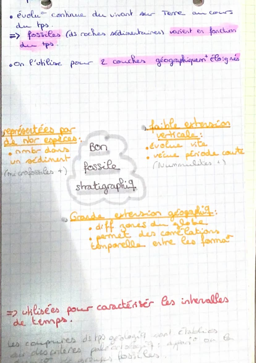 Principe de SUPERPOSITION
sediment se déposent horizontal
30 de déformation => strate + récente
ex coulée Cave.
+ Principe de CONTINUITÉ
în 