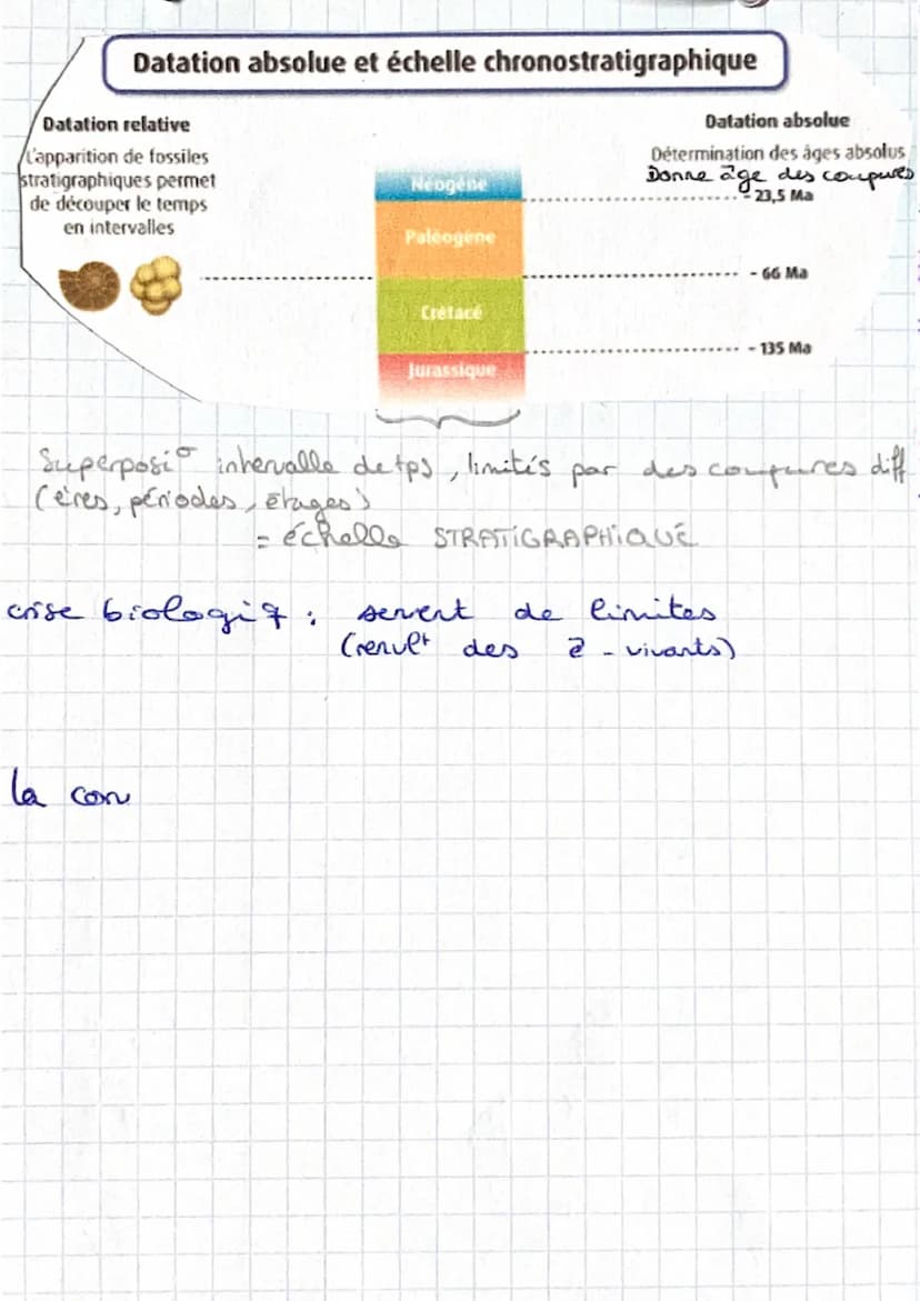 Principe de SUPERPOSITION
sediment se déposent horizontal
30 de déformation => strate + récente
ex coulée Cave.
+ Principe de CONTINUITÉ
în 
