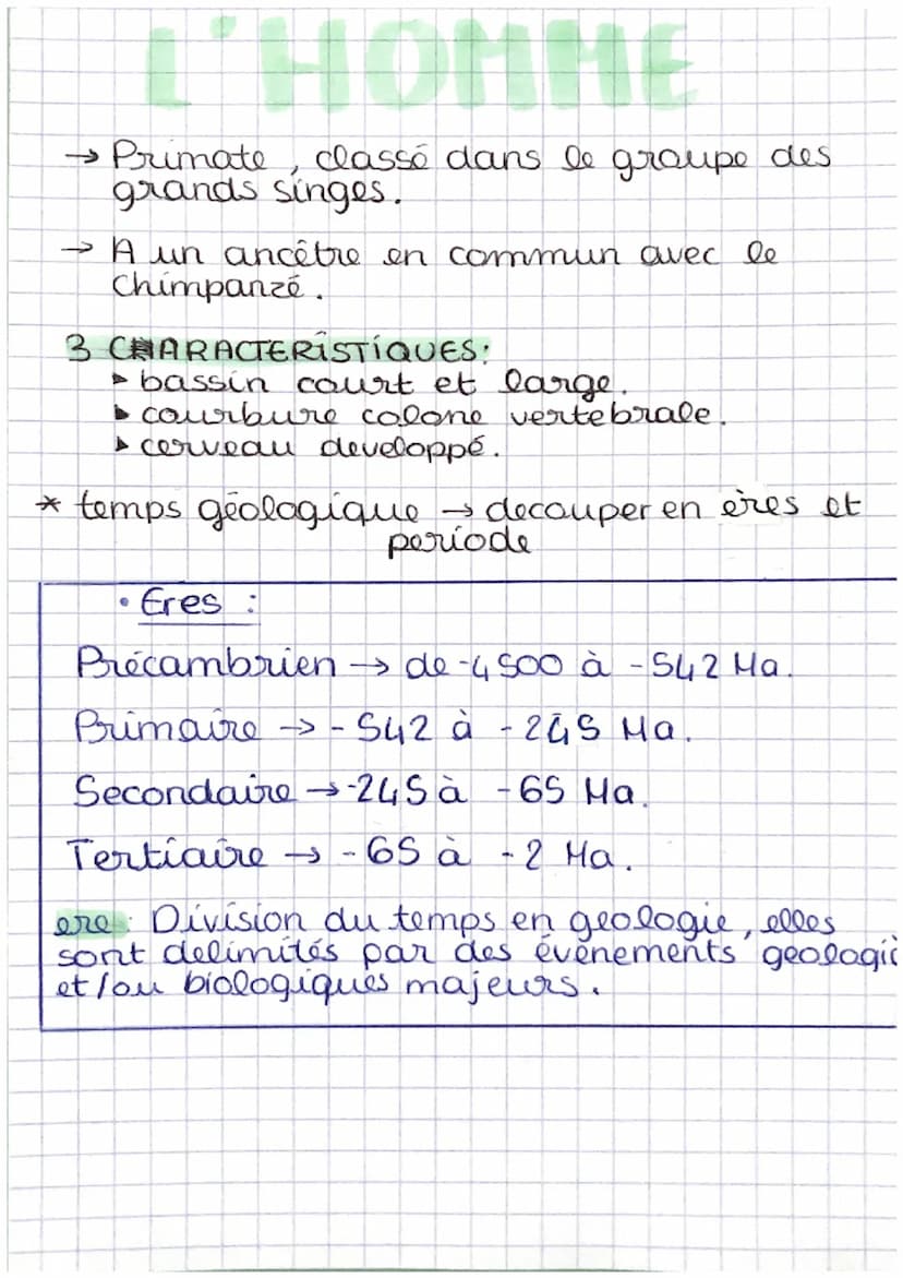 S.VI.
durant for temps
le geologique
DEFINITIONS:
•Evolution: Succession des especes et des groupes
au cour du temps.
• Crise biologique: Di