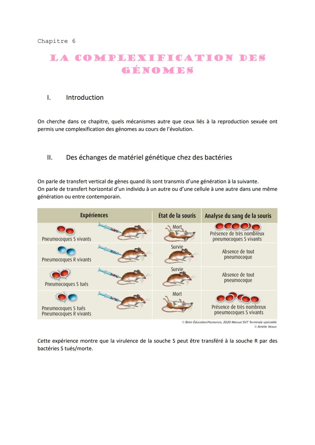 Chapitre 6
LA COMPLEXIFICATION DES
GÉNOMES
I.
Introduction
On cherche dans ce chapitre, quels mécanismes autre que ceux liés à la reproducti