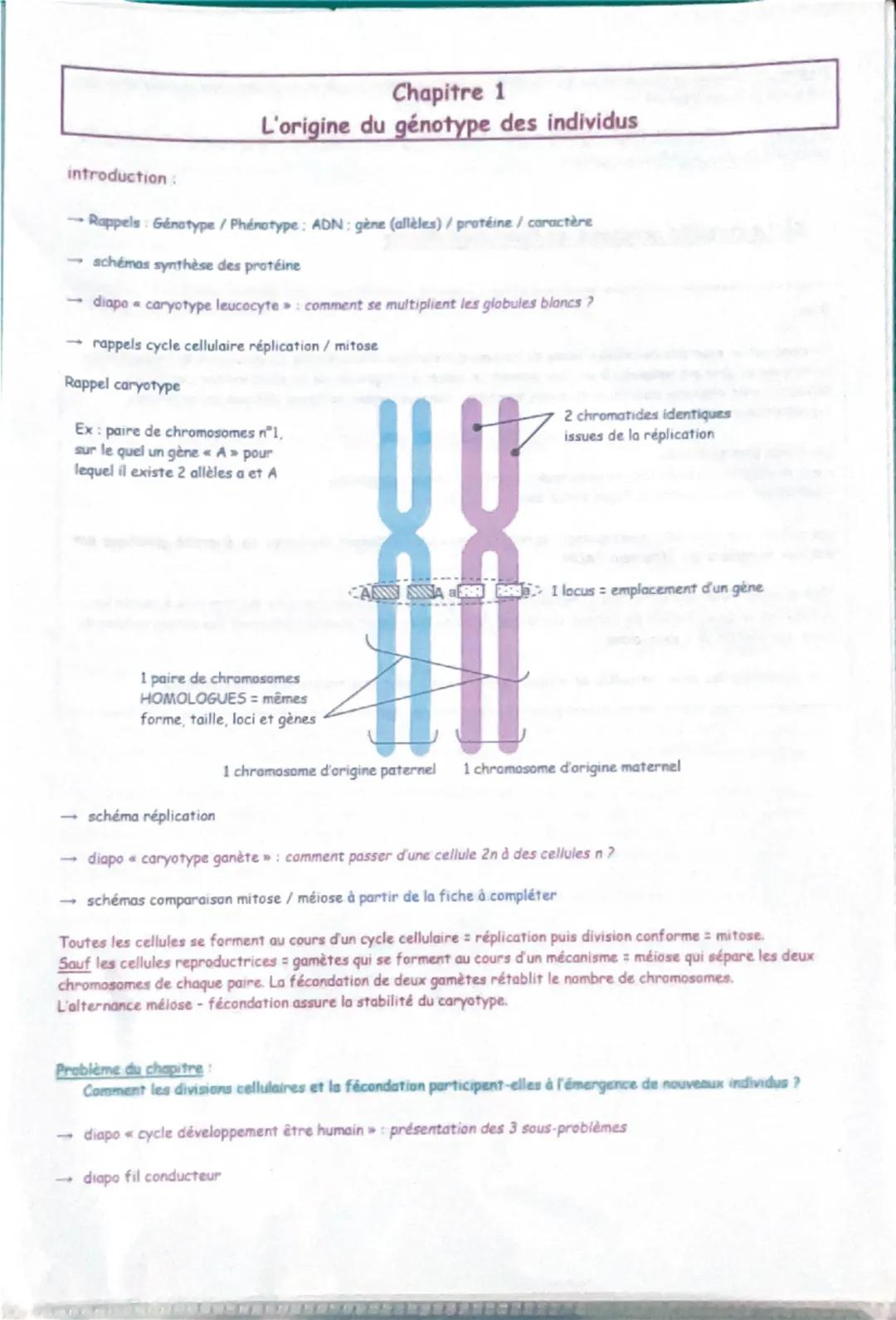 --- OCR Start ---
Chapitre 1
introduction:
☐
L'origine du génotype des individus
Rappels: Genotype/Phénotype: ADN gène (allèles) / protéine 