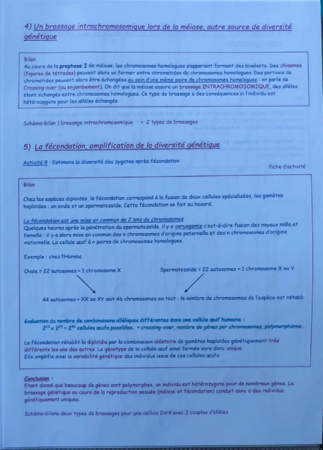 --- OCR Start ---
Chapitre 1
introduction:
☐
L'origine du génotype des individus
Rappels: Genotype/Phénotype: ADN gène (allèles) / protéine 