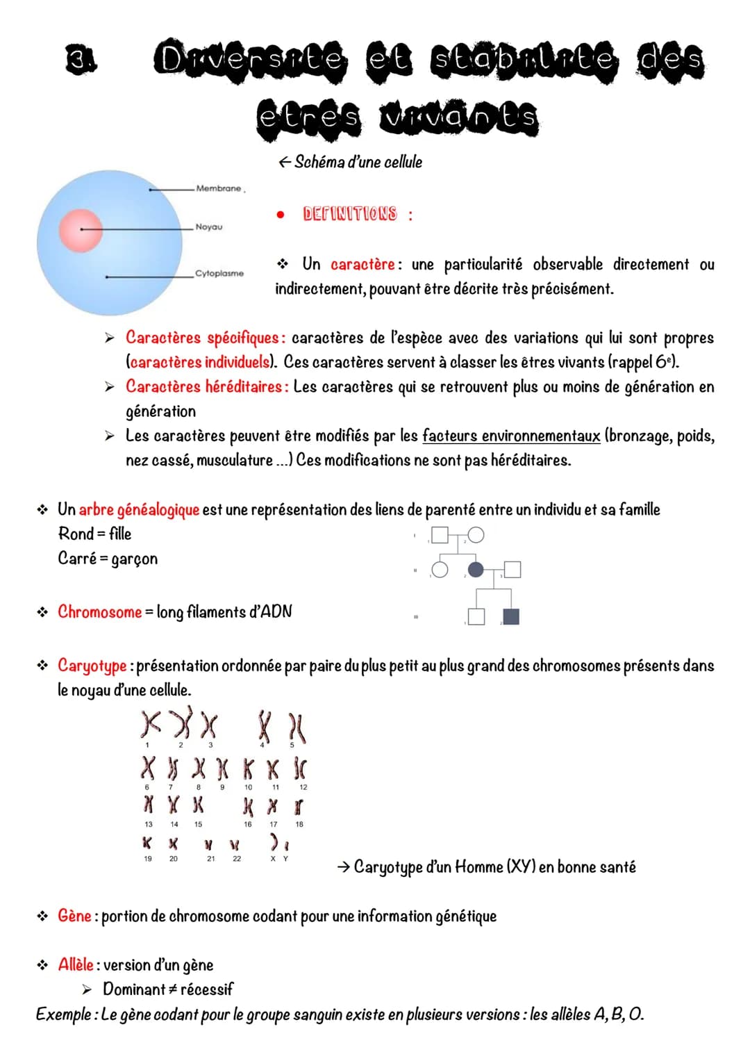 3.
Diversite et stabilite des
etres vivants
← Schéma d'une cellule
Membrane.
Noyau
Cytoplasme
➤ Caractères spécifiques: caractères de l'espè