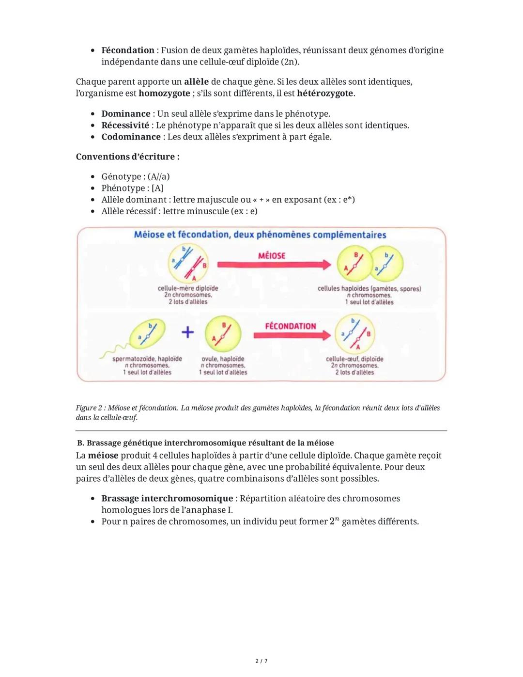 # Chapitre 1 : L'origine du génotype des individus

# I. Divisions cellulaires et acquisition du génotype

## A. Formation et stabilité clon
