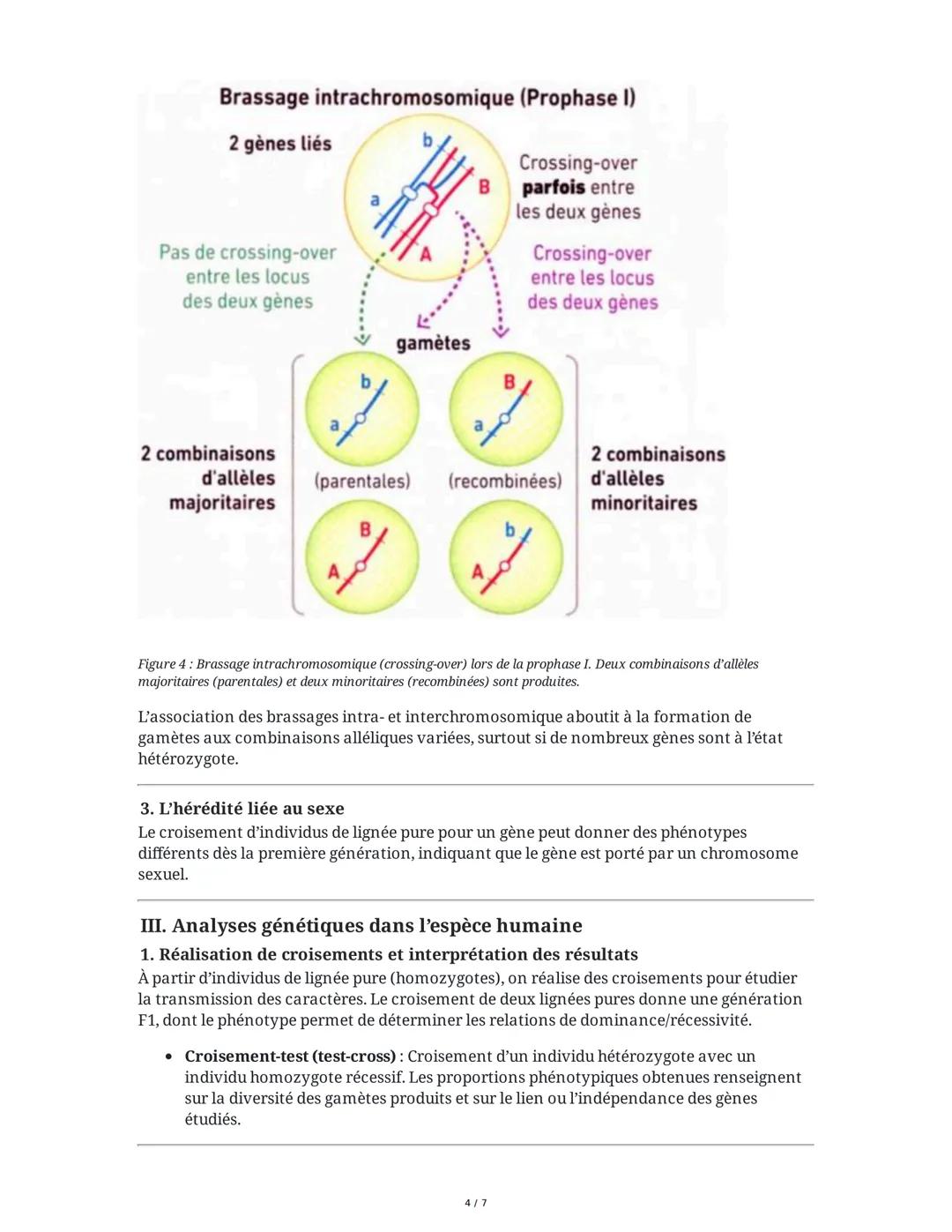 # Chapitre 1 : L'origine du génotype des individus

# I. Divisions cellulaires et acquisition du génotype

## A. Formation et stabilité clon