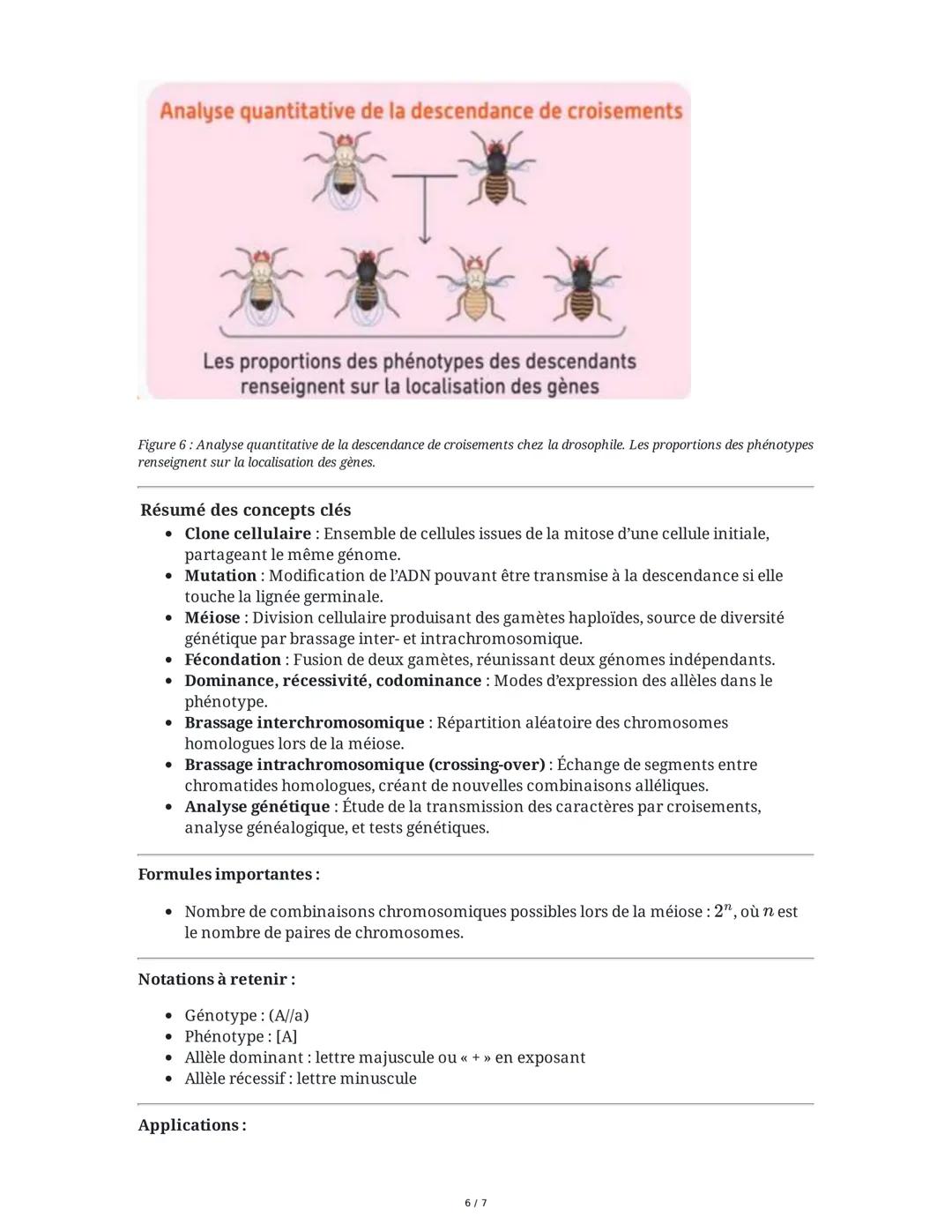 # Chapitre 1 : L'origine du génotype des individus

# I. Divisions cellulaires et acquisition du génotype

## A. Formation et stabilité clon