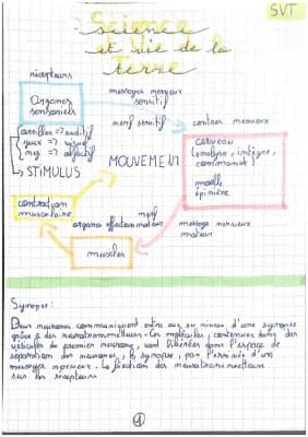 Know la commande du mouvement, structure d’un neurone, transmission mess nerveux au niveau de la synapse  thumbnail