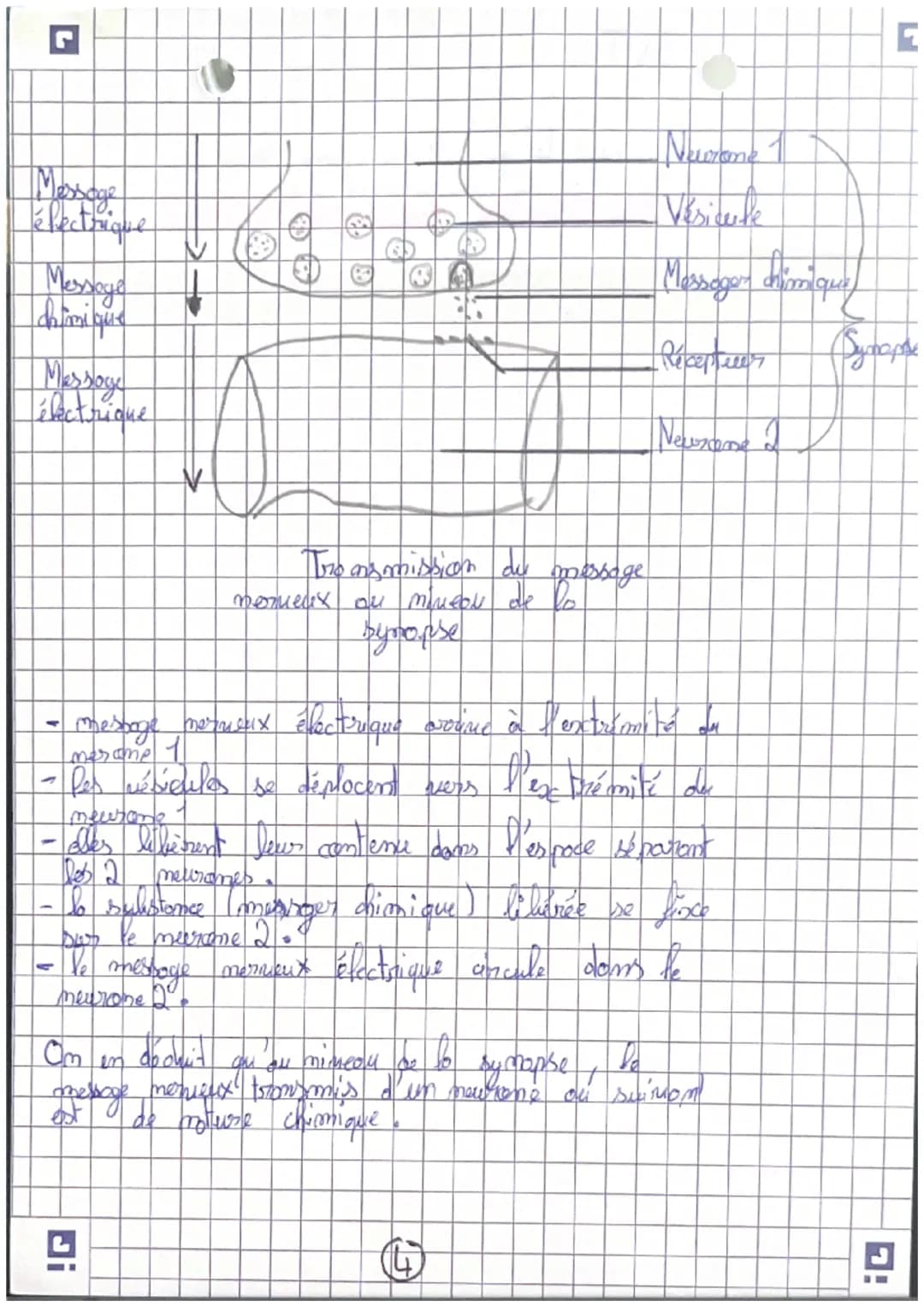 récepteurs
Orgomer
sensoriels
science
et nie de la
terse
Careilles = 7 auditif
усих =) гузмери
(my =>
=7 alfactif
L> STIMULUS
contraction me