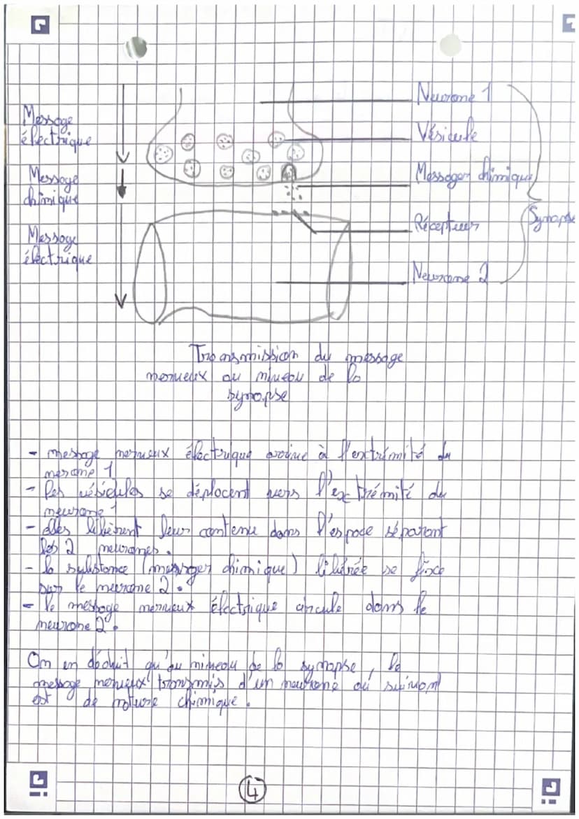 récepteurs
Orgomer
sensoriels
science
et nie de la
terse
Careilles = 7 auditif
усих =) гузмери
(my =>
=7 alfactif
L> STIMULUS
contraction me